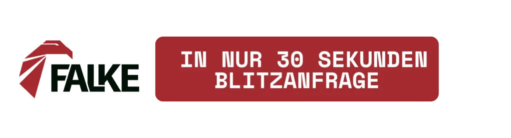 Blitzanfrage - Falke